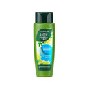 GREEN TEA ANTI-DANDRUFF SHAMPOO 320ML