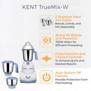 KENT TRUE MIX-W 750W