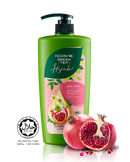 FOLLOW ME GREEN TEA HIJAB ANTI-ITCH SHAMPOO 650ML